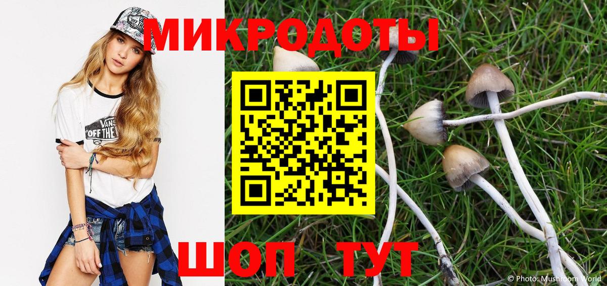 Оренбург  Псилоцибиновые грибы Magic Shrooms  Вход с VPN  Псилоцибиновые грибы Magic Shrooms 