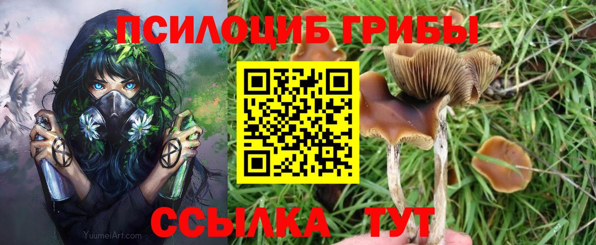 Галлюциногенные грибы Psilocybine cubensis Оренбург